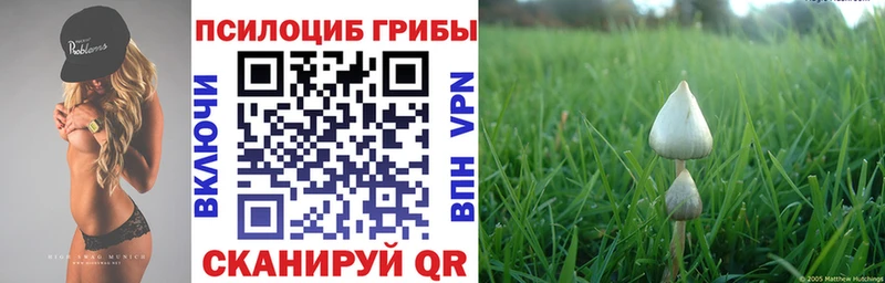 купить наркоту  Салават  Галлюциногенные грибы Psilocybine cubensis 