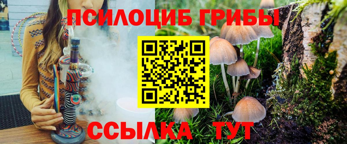 Салават  Галлюциногенные грибы Cubensis  Вход с VPN 