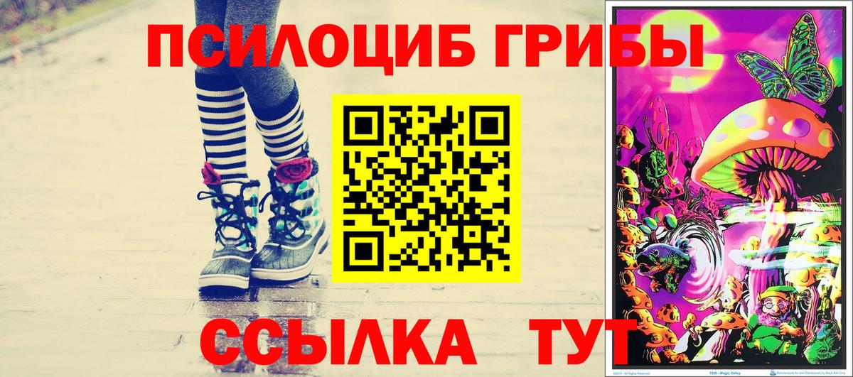 Псилоцибиновые грибы Psilocybine cubensis Салават