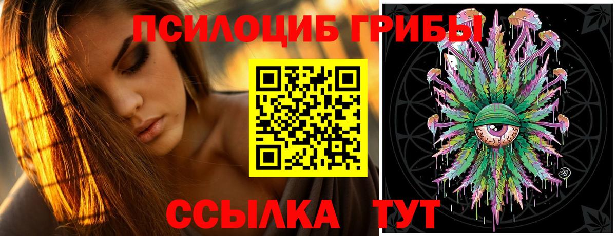 Псилоцибиновые грибы Psilocybe Салават